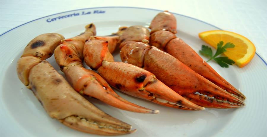 7 razones para aumentar el consumo de pescados y mariscos